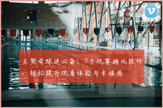 东契奇球迷必备：5个观赛避坑技巧，轻松提升观看体验与幸福感